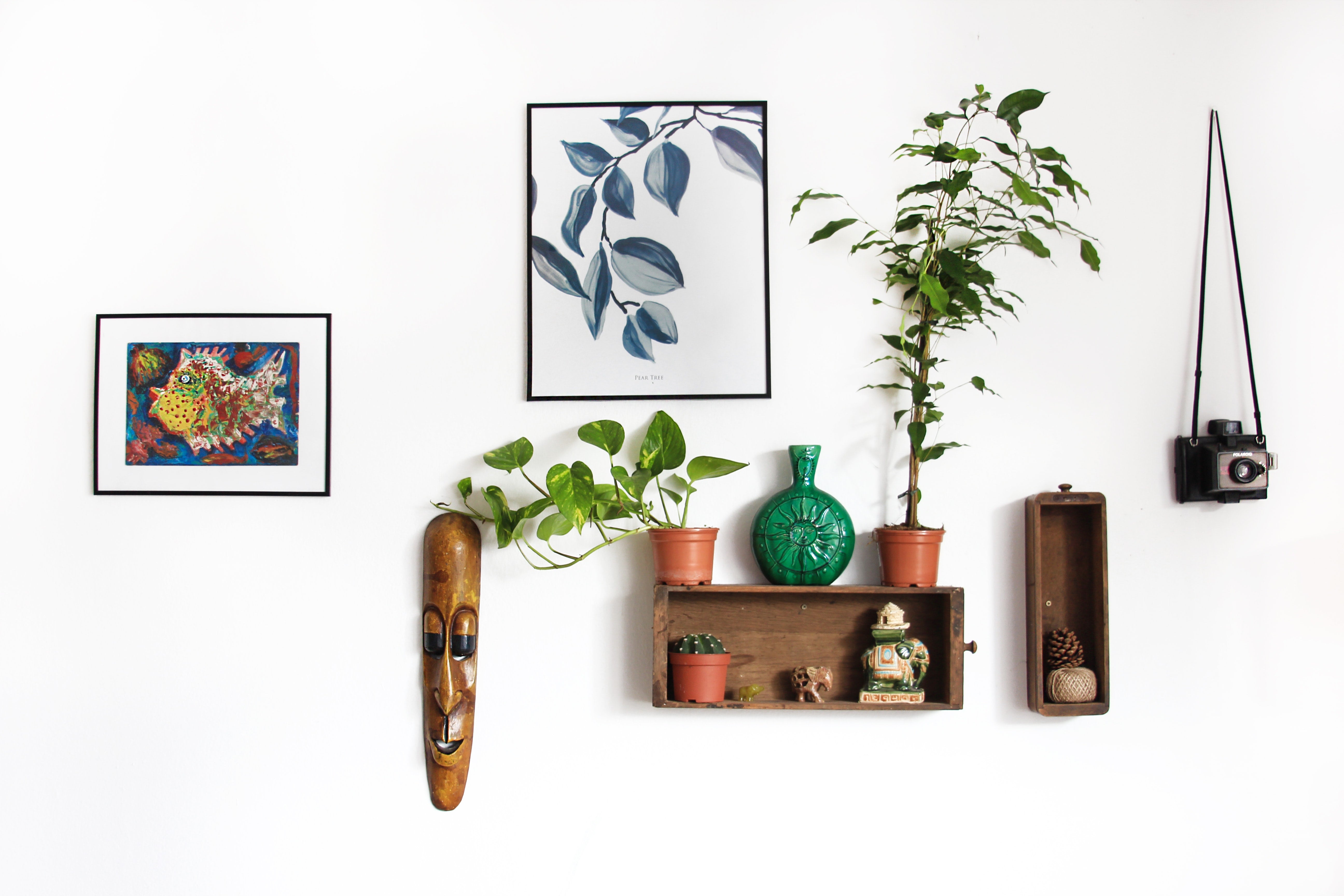 plants hanging in wall 
