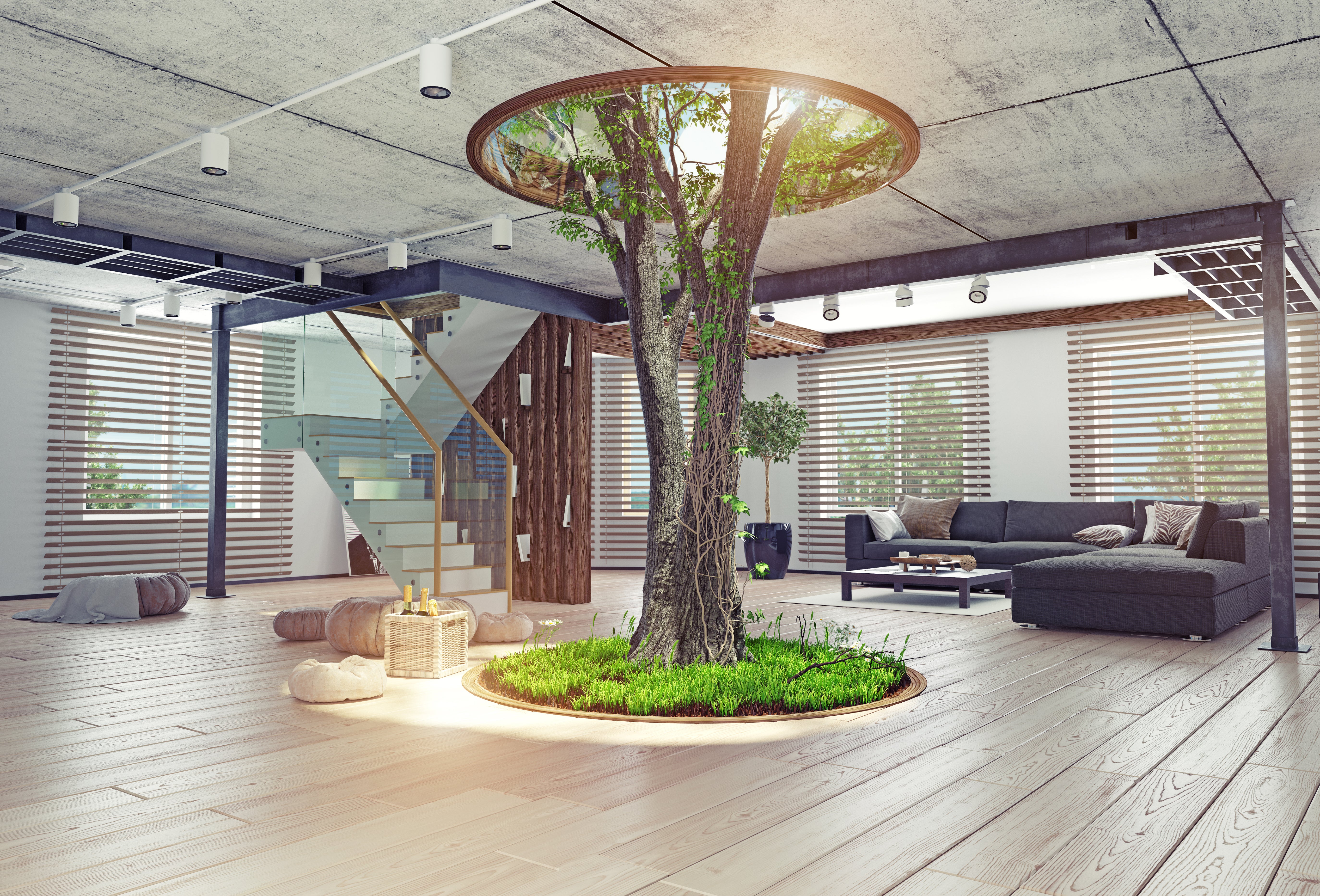 indoor tree