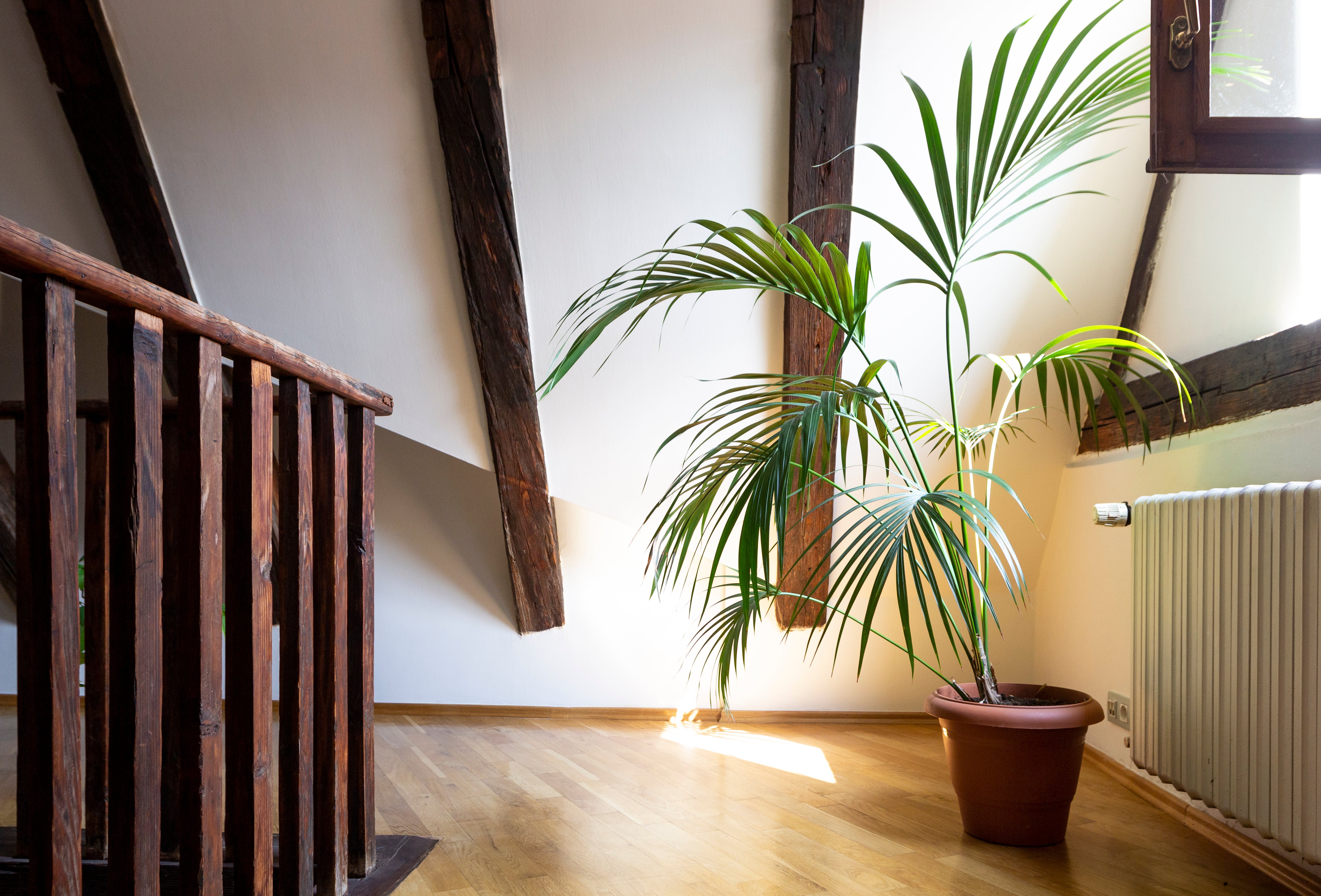 stairway decor with large tree