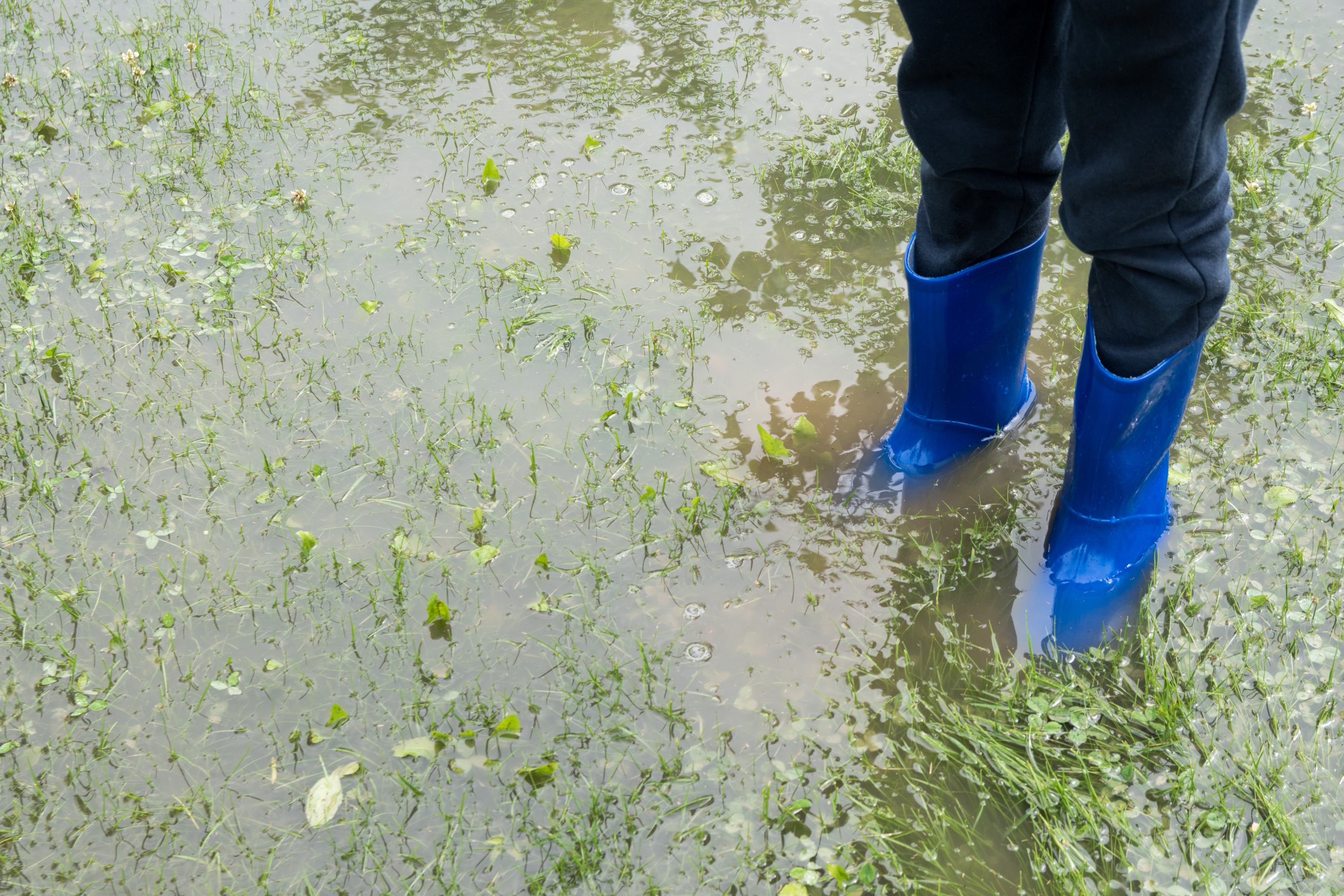 standing-water-in-yard-cheapest-collection-save-67-jlcatj-gob-mx