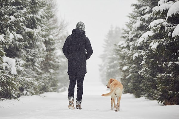 Dog and owner walking in snow