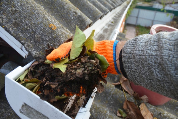 Gutter Cleaning