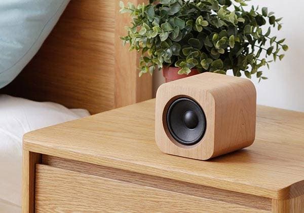 portable wireless speaker